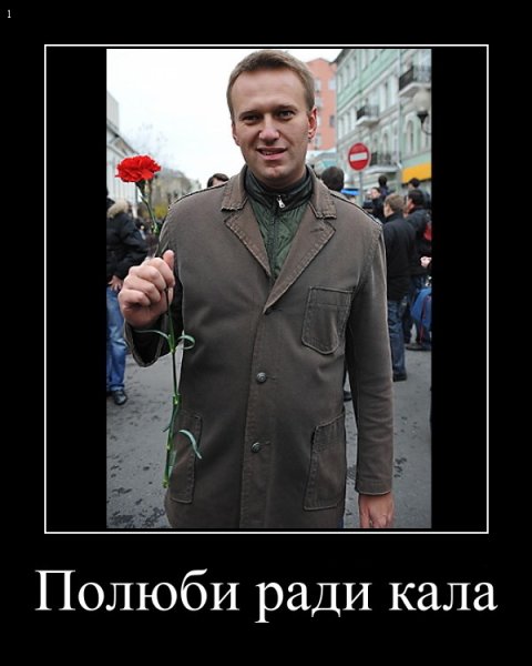 Навальный демотиваторы