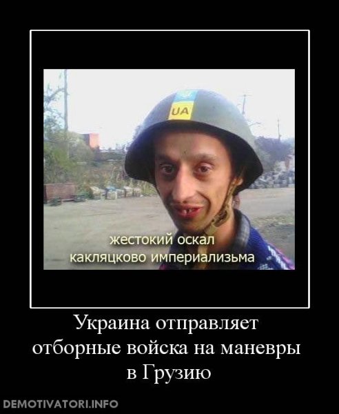 Украина демотиваторы смешные