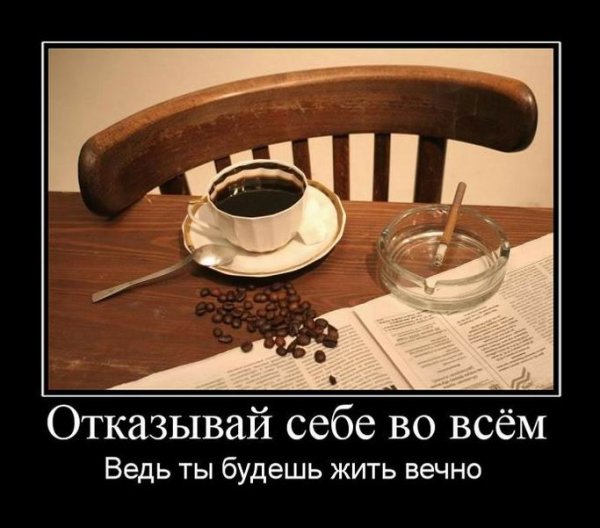 Ни в чем себе не отказывай картинки смешные