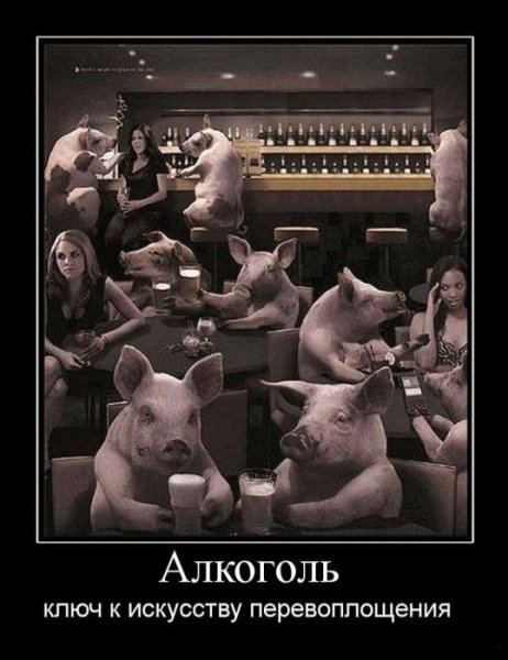 Демотиваторы про пьянство (47 фото)