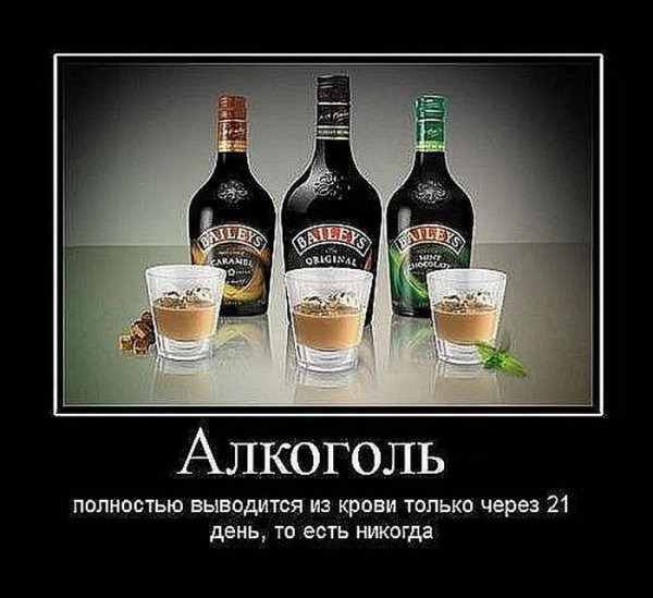 Юмор про алкоголь