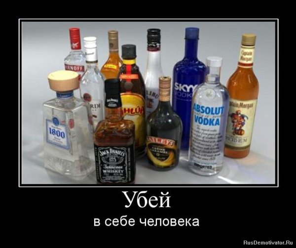 Демотиваторы про алкоголь