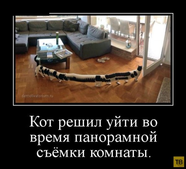 Прикольные демотиваторы