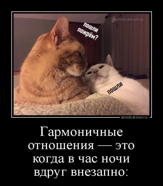 Юмор про отношения