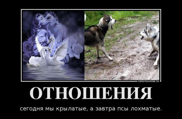 Демотиваторы про отношения прикольные
