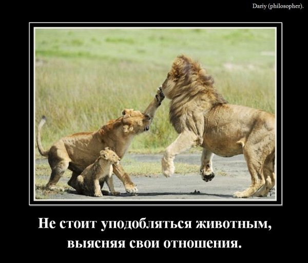 Демотиваторы про отношения смешные
