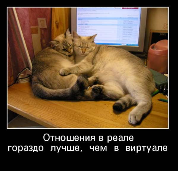 Демотиваторы про отношения