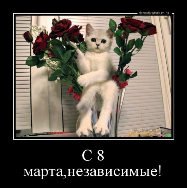 Демотиваторы 8 марта