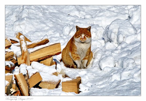 Демотиваторы 8 марта