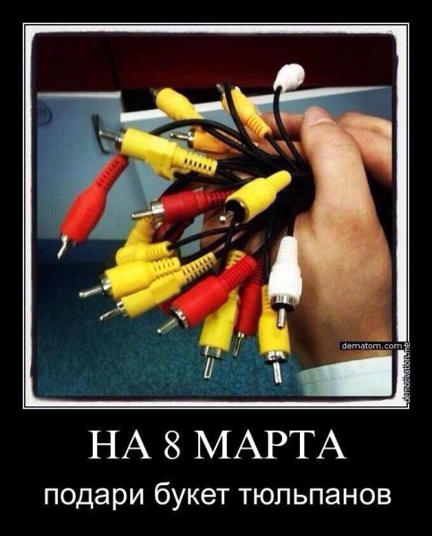 Лев демотиватор