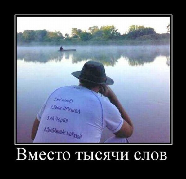 Демотиваторы кошки и собаки