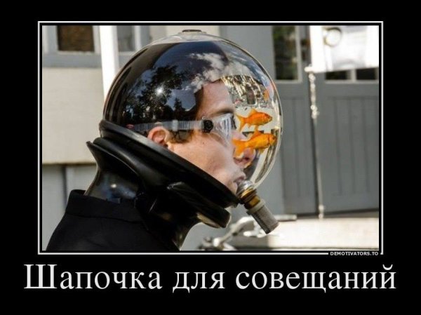 Совещание прикол