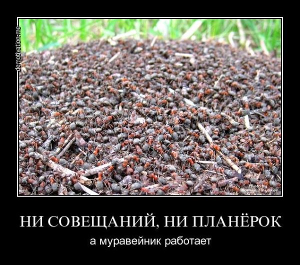 Планерка демотиватор