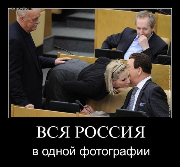 Демотиваторы политика
