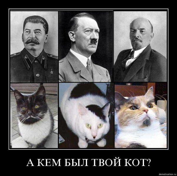 Человек паук демотиватор