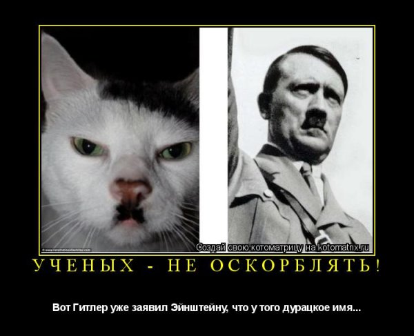 Ехал Гитлер через Гитлер
