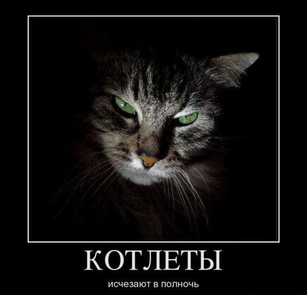 Котлеты исчезают в полночь