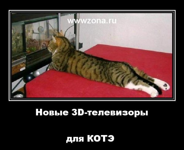 Демотиваторы юмор