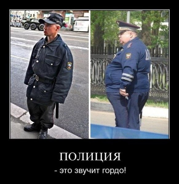Демотиватор полиция (47 фото)