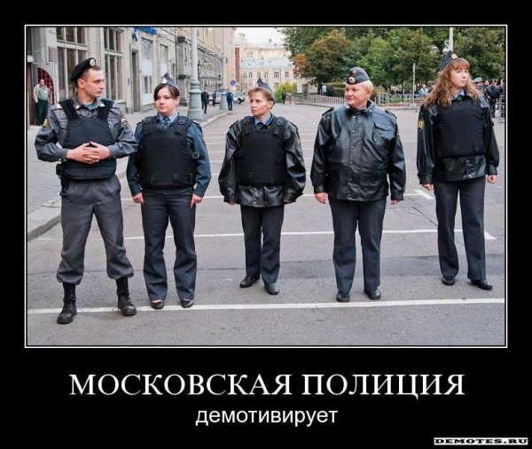 Демотиваторы про милицию