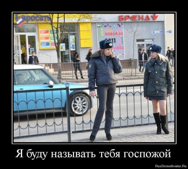 Демотиваторы про милицию и полицию