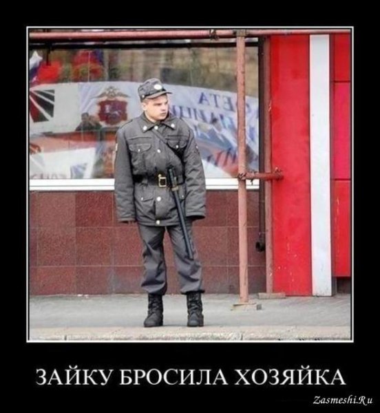 Демотиваторы про милицию