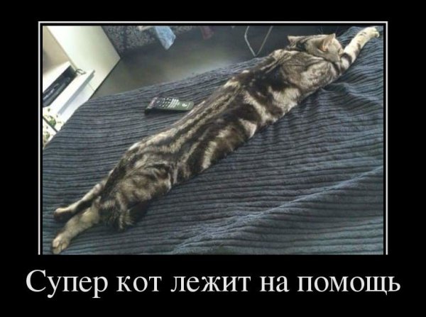 Супер смешные демотиваторы