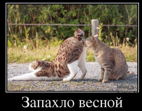 Приколы про весну