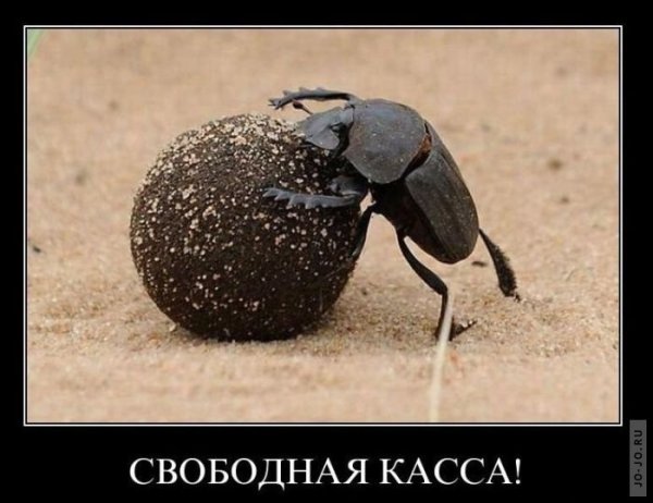 Супер смешные демотиваторы