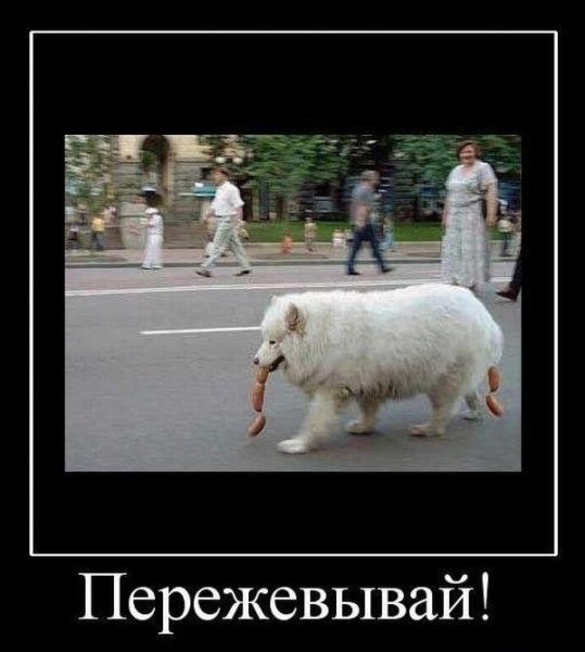 Поржать демотиваторы