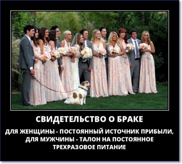 Демотиваторы про женитьбу
