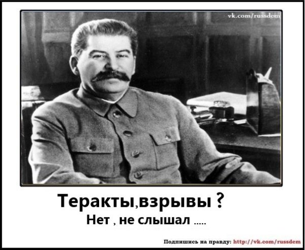 Цитаты про уток смешные
