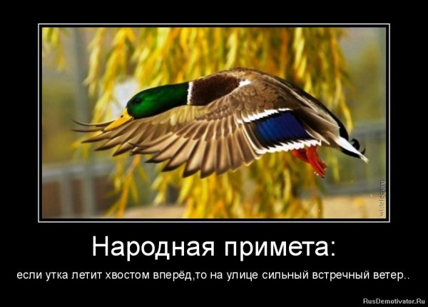 Славяне дети богов