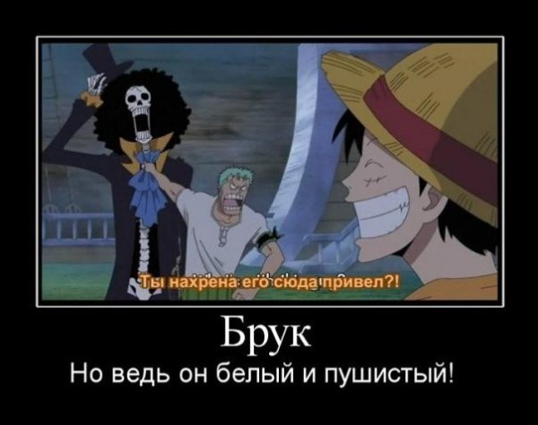 Ван Пис Брук и Луффи
