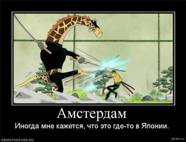 Амстердам демотиваторы