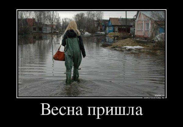 Весна пришла юмор
