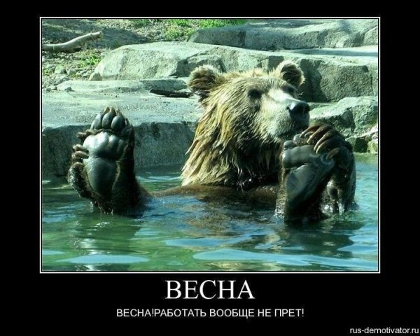 Приколы про весну