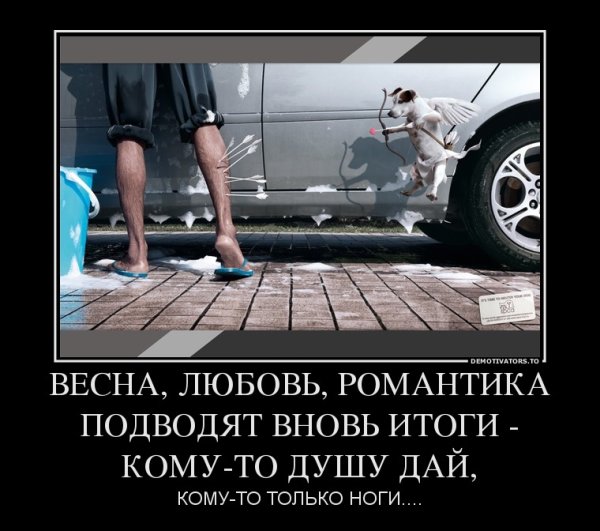 Первый день весны прикол
