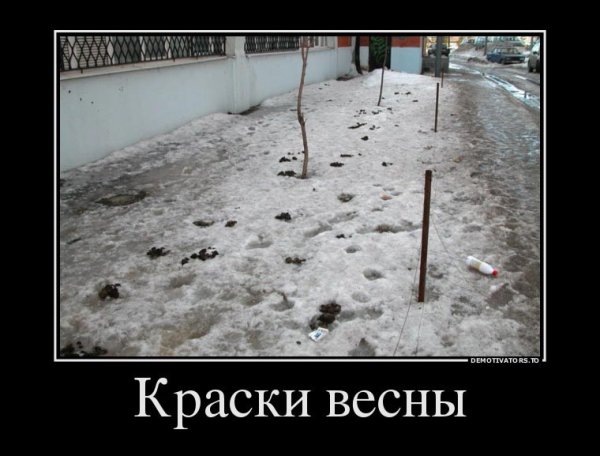 Скоро Весна юмор