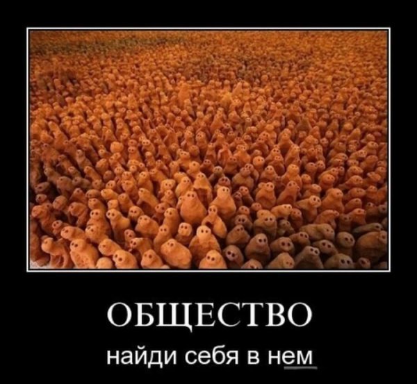 Шутки про общество