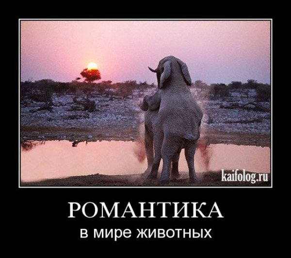 Шутки про любовь