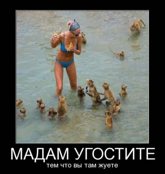 Демотиваторы про курорт