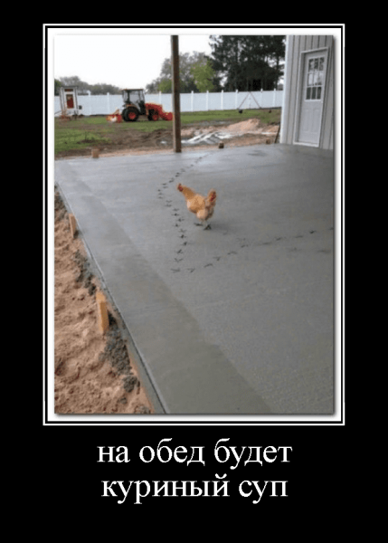41 Демотиватор
