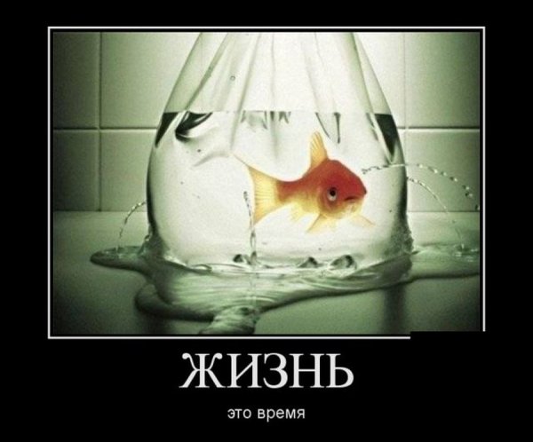 Прикольные аватарки со смыслом