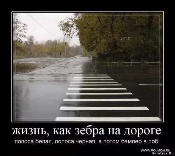 Полоса черная, полоса белая