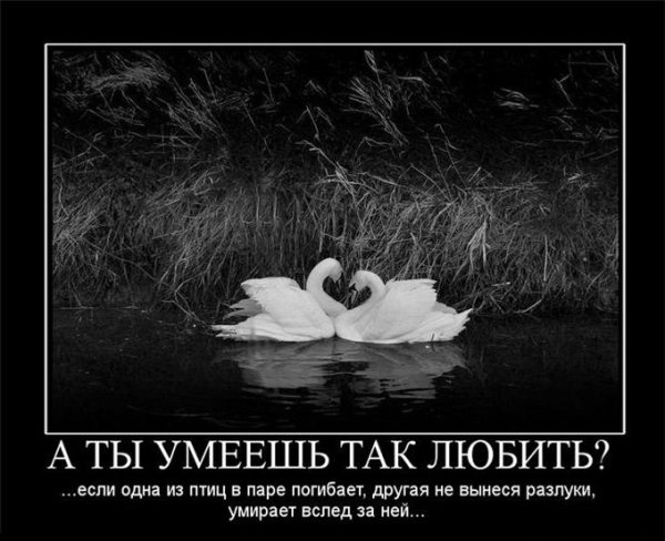 Статусы про расставание