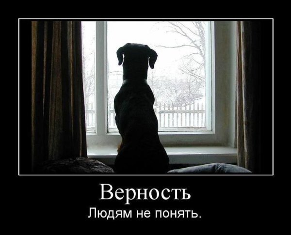 Демотиваторы грустные