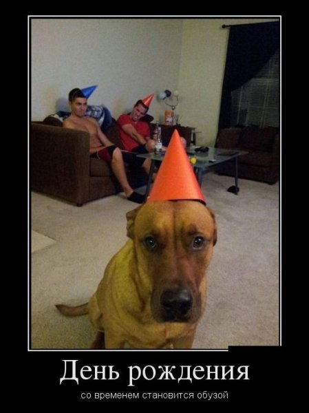 День рождения демотиваторы смешные