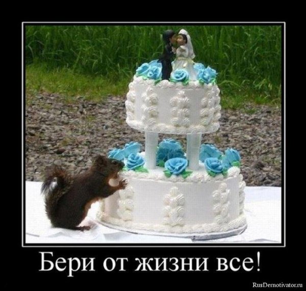 Торт демотиватор