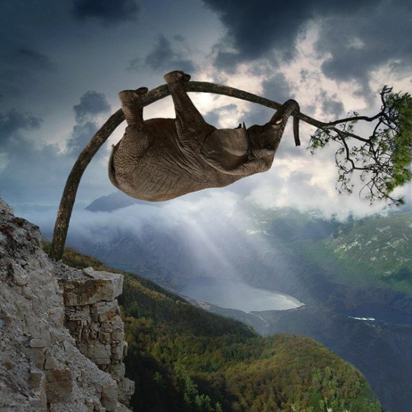 Юмор в картинках со смыслом